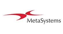Metasystems